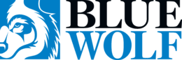 Blue Wolf Capital Partners LLC